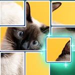 Собери Картинку